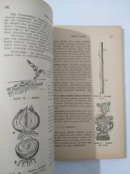 TABİAT BİLGİSİ Ortaokul 1