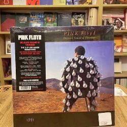 PINK FLOYD DELICATE SOUND OF THUNDER PLAK 33 LÜK  2 LONG PLAY JELATİNLİ