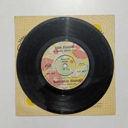 Ajda PEKKAN Sevdiğim adam - Boşvermişim dünyaya