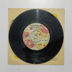 Ajda PEKKAN Sevdiğim adam - Boşvermişim dünyaya