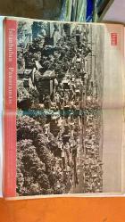 HAYAT HAFTALIK HABER MECMUA, DERGİSİ - ORTA SAYFA POSTER : İstanbulun Panoraması - SIRA NO: 62 SAYI: 62 TARİH: 13 ARALIK 1957  HİKMET FERİDUN ES – İBRAHİM ÇAMLI – SEMİRAL BİLBAŞAR – FİRUZ ASKIN – FİKRET ARIT – AYHAN ERER – DİNÇER GÜNER – BRIGITTE BARDOT – AŞIK VEYSEL – MÜMTAS TARHAN – BAYAN TARHAN – ŞEREF AKDİK – PROF. FAZIL NOYAN – MUAMMER KARACA  KALP AMELİYATI RÖPORTAJI – AŞIK VEYSEL KÖYÜNE DÖNÜYOR – BRIGITTE BARDOT – YENİ VALİ VE EŞİ – OKLU KİRPİ – OYUNCAK SPUTNIK – ALTMIŞ ASIRLIK RESİM SERGİSİ – NAZİLLİ’DE OTO-AT – FRANKFURT’TA DELİLİK GÜNÜ – DENİZ-KIZI OTO-AT – İNSANLAR İYİ MİDİR FENA MIDIR – SOHBET KÖŞESİ – ROTENBURG’DA KÖPRÜ MAKYAJI – NOEL HAZIRLIKLARI – HAKEM-SEYİRCİ MÜNAKAŞASI – DENİZ VOLKSWAGENİ – ATOM LOKANTASI – TAMEK MARMELATLARI – KOKTEYL DİPLOMASİSİ -  EKSİKSİZ TAM TAKIM 48 SAYFA