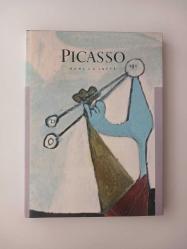 Picasso [ Ciltli - Şömizli ]