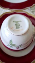 Hutschenreuther özel seri trio