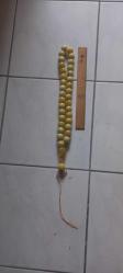 Kolleksiyonluk uzunluk 50 cm habbe büyüklüğü  2.5 cm