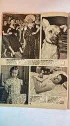 HAYAT HAFTALIK HABER MECMUA, DERGİSİ - ORTA SAYFA POSTER : AYASOFYANIN Türk yazı sanatiyle süslenen muhteşem kubbesine bir bakış FOTO: OTHMAR - SIRA NO: 21 SAYI: 21 - 1 MART 1957 - KAY KENDALL - IBRAHIM CAMLI - SEMIRAL BILBASAR - HANS-JO SCHMOLL - FIRUZ AŞKIN - SIDİKA AVAR - ELIF BELGE - TONIA NAVAR - LUCKY - FABIENNE - DON STONE - MISS POOLS WINN - MACAR MIMARLAR - MAHMUT GAZNEVI - FOTO HAYAT - ASSOCIATED PRESS - UNITED PRESS - BOSFOR - REUTER - TÜRK HABERLER AJANSI - TİFDRUK MATBAACILIK SANAYİİ - DOĞAN KARDEŞ YAYINLARI - REKLAM MORAN A.Ş. - KIZIMI DA GÖTÜR - FENERBAHÇE OTEL PROJESİ - KÜREK BALIĞI - CİNAYETLER SOKAĞI LEFKOŞA - BACADAKİ YANGIN KOPENHAG - BOHÇACI KADINLAR - UYUYAKALAN GENÇ - BİSİKLET YARIŞI - DAHA İYİ YAŞAMAK İÇİN - PARİS MANKEN MEKTEBİ - KÖPEK SERGİSİ - BANKA MÜSADERE ETTİ - YILIN KADINI DANİMARKA - TUNCELİ BİNGÖL DAĞ KÖYLERİ - ELAZIĞ KIZ ENSTİTÜSÜ - ATATÜRK’ÜN SÖZÜ - GRETA GARBO - SARIŞIN BOMBA, - TAM TAKIM 48 SAYFA
