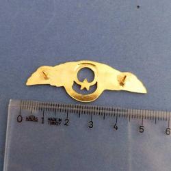 Hava Kuvvetleri Pilot Brovesi