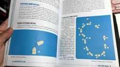 AMATÖR DENİZCİ EL KİTABI - HAZIRLAYAN SEZAR ATMACA - AMATÖR DENİZCİLİK FEDERASYONU 24. BASKI 2019 GENİŞLETİLMİŞ BASIM...