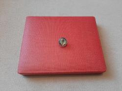 ESKİ - SOVYET DÖNEMİ RUSYA TIP ROZETİ - MADALYA C2674