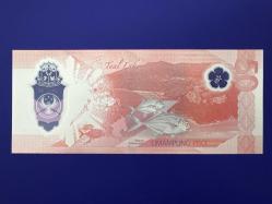 Filipinler 50 Piso 2025. Polimer. Çil