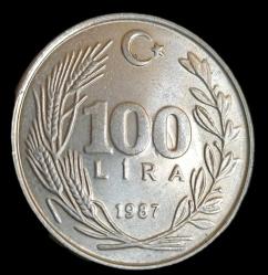 1987 100 Lira Çil