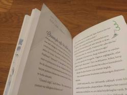 Dâhiler Sınıfı - Marie Curie Atom Kadın