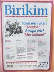 BİRİKİM DERGİSİ SAYI: 272, ARALIK 2011