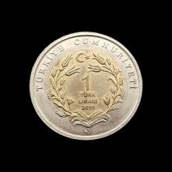 2011 Hayvanlar Serisi 1 lira Boz Ayı KM#1276 ÇİL/MS-64