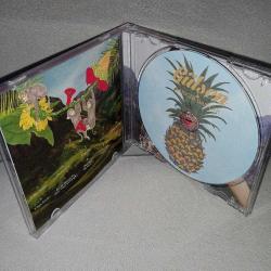 Cd Gülşen bangır bangır albümü. Orijinal. iyi durumda. koleksiyonluk