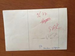 YEŞİLÇAM'IN USTA İSMİ FERİDUN ÇÖLGEÇEN'İN ORİJİNAL FOTOĞRAFI - 18 x 12 cm EBADINDA - FERİDUN ÇÖLGEÇEN KEDİLERİ BESLERKEN ÇEKİLMİŞ BİR KARE