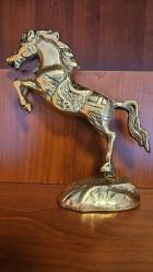 PİRİNÇ ŞAHLANMIŞ AT  KAİDELİ İRAN    ( Orta boy )