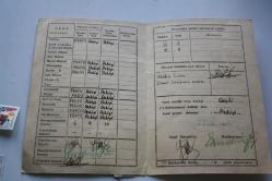 BİTLİS 1959-1960 ÖĞRETİM YILINDAN KALMA PUL VE KARNE + FARKLI PULLAR DETAYLAR RESIMLERDE (((YENİ KOLİ 3 ) P9