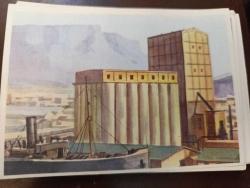 Efemera - KRT147----SANELLA-BILDER AFRİKA KARTI  --CAPE DOWN MASA DAĞI NO 56 - kitantik - kitaLog