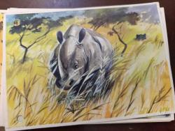 Efemera - KRT148----SANELLA-BILDER AFRİKA KARTI  ----GERGEDAN NO 35 - kitantik - kitaLog