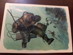 KRT148----SANELLA-BILDER AVUSTRALYA KARTI  ----İNCİ AVCISI NO 15