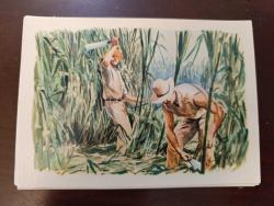 KRT148----SANELLA-BILDER AVUSTRALYA KARTI  ----ŞEKER KAMIŞI HASADI NO 51