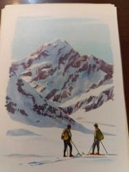 KRT148----SANELLA-BILDER AVUSTRALYA KARTI  --YENİ ZELANDA COOK DAĞI NO 96