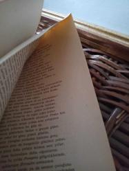 Sevişme Yolu - Ovidivs  - Ovidius