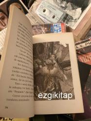 dört yavru - ursula k. le guin  (kanatlı kediler masalı 1)