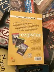 dört yavru - ursula k. le guin  (kanatlı kediler masalı 1)