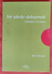 Bir Şiirde Dolaşmak (Şiir Yazıları)