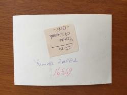 YILMAZ ZAFER'İN ORİJİNAL FOTOĞRAFI - 12,5 x 9 cm EBADINDA - YILMAZ ZAFER GÜLÜMSERKEN ÇEKİLMİŞ BİR KARE