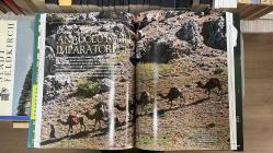 Tarihöncesinden Demir Çağı'na; Anadolu'nun Arkeoloji Atlası - Ciltli - Arkeo Atlas