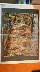 HAYAT HAFTALIK HABER MECMUA, DERGİSİ - ORTA SAYFA POSTER : KIRMIZI DAMLAR (Louvre Müzesi - Paris) PISSARRO - 8 AĞUSTOS 1968 - SAYI: 33 - SIRA NO: 618 - KAPAK: TWIGGY - DUBCEK – BREJNEV – LEYLA ATAKAN – HASAN ATAKAN – EMEL ATAKAN – YENER SUSOY -  FIKRET YÜZATLI – NIHAL YÜZATLI – TULGA YÜZATLI – TUNÇDAL YÜZATLI – İSMET PAŞA – ATATÜRK – İNÖNÜ – FAHRETTİN ALTAY – KAZIM ÖZALP – NECATI BILGIÇ – KARTAL TIBET – BEYHAN DEMIRALP - TWIGGY Mİ MARILYN MONROE MU - MOSKOVA’YA MEYDAN OKUYAN ADAM DUBCEK - 67 İLİN TEK KADIN BELEDİYE BAŞKANI İLE KONUŞTU - KADIN BELEDİYE BAŞKANI LEYLA ATAKAN - JAPON YAZISINI ÖĞRENMEK ZORDUR - FIKRET YÜZATLI ATLARINA VEDA ETTİ - MÜCADELE GÜNLERİNDE FIKRET YÜZATLI - SES YILDIZ EVİNİZDE - KARTAL TIBET ZİYARETTE   -  TAM TAKIM 48 SAYFA