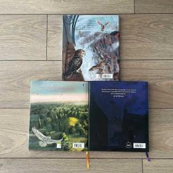 1. BASKI SET ! Harry Potter ve Felsefe Taşı, Sırlar Odası, Azkaban Tutsağı (Resimli Özel Baskı 3 Kitap Takım)