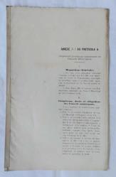 Annexe No: 1 Au Protocole No 8. / Reglement provisoire concernant les Conseils Municipaux [Belediye Meclislerine Dair Geçici Yönetmelik]