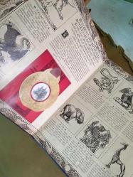 Büyü Bilimi / Merlin'in Sırları Kitabı - Ciltli - AÇIKLAMAYI OKUYUNUZ