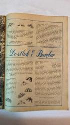 SAMANYOLU ELBİSE PATRON İLAVELİ MECMUA DERGİ - 2 EKİM 1975 SAYI: 196 AYLA ALGAN - GEORGES DESCRIERES - DANYAL TOPATAN - MINE MUTLU - EROL BÜYÜKBURÇ - ÖMÜR GÖKSEL - ZAFER ÇOTAL - İSMET DEMİRAL - NEVİN NURAY - YURDAER DOĞULU - TOMRİS - ALİ KOCATEPE - KADİR İNANIR - FİKRET HAKAN - SAFA ÖNAL - TURGUT AKAN - TARIK AKAN - FERI CANSEL - KEREM GÜNEY  PARASIZ PATRON İLAVEMİZİ İSTEYİNİZ - JÖLELER - BUTİK GENÇ - MAMA - SİNEMA MÜZİK - KISA HABERLER - DOSTLUK & BURÇLAR - AHENKLİ BURÇLAR - GELECEK SAYI CEP FOTO ROMAN KORKUNÇ GECE - 36 SAYFA