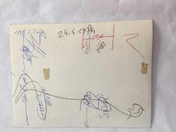 TÜRK SANAT MÜZİĞİ SANATÇISI SEVİM TUNA'NIN ORİJİNAL FOTOĞRAFI - 14 x 10 cm  EBADINDA - SEVİM TUNA KUCAĞINDA KÖPEĞİTİNİ TUTUP GÜLÜMSEYEREK POZ VERİRKEN ÇEKİLMİŞ BİR KARE