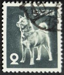 +++  JAPONYA AKİTA KÖPEĞİ     1980    - DAMGALI