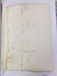 TÜRK SANAT MÜZİĞİ SANATÇISI SEVİM TUNA'NIN ORİJİNAL BÜYÜK BOY FOTOĞRAFI - 24 x 18 cm  EBADINDA - SEVİM TUNA KLASİK BİR OTOMOBİLİN ÖNÜNDE POZ VERİRKEN ÇEKİLMİŞ BİR KARE