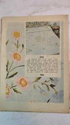 SAMANYOLU ELBİSE PATRON İLAVELİ MECMUA DERGİ - 13 ŞUBAT 1975 — SAYI: 163 HALE SOYGAZİ - AHMET ÖZHAN - HÜLYA KOÇYİĞİT - TANJU GÜRSU - SALİH GÜNEY - AĞAH HÜN - SEYHAN KARABAY - ASU MARALMAN - SEMİHA YANKI - EDİZ ONAY - İSKENDER DOĞAN - ALİ RIZA BİNBOĞA - NİLÜFER - AYLA ALGAN - FÜSUN ÖNAL - EROL EVGİN - KARTAL TİBET - ERGİN ORBERK - ARAM GÜLYÜZ - NEŞE KARABÖCEK - TEVFİK YENER - FERI CANSEL - SAHNE VE FİLM GEÇİŞLERİ - NİŞAN HABERLERİ - PERHİZ VE KİLO KONTROLÜ - ÇİRKEF FİLMİ - PLAK ÖDÜLLERİ - EUROVISION HAZIRLIKLARI - ANADOLU TURNESİ - PLAK ŞİRKETİ DEĞİŞİMLERİ - YÖNETMENLİK DENEMESİ - BALAYI GEZİSİ - SAHNE KIYAFETLERİ - FESTİVAL YOLCULUKLARI - ZAYIFLAMA EGZERSİZLERİ - NAYLON TULUM TEKNİĞİ - ETEK UZATMA TÜYOLARI - KOLSUZ KAZAK MODASI - SICAK DALGASI - 36 SAYFA