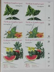 2021 KABAKGİLLER MNH SERİ