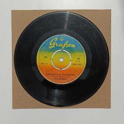 Zeki MÜREN Yollar uzak gelemedim - seninle bir sonbahar