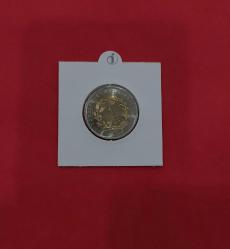 HAYVANLAR SERİSİ ANKARA KEÇİSİ