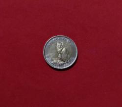 HAYVANLAR SERİSİ ANKARA KEDİSİ