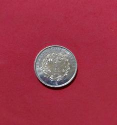 HAYVANLAR SERİSİ ANKARA KEDİSİ