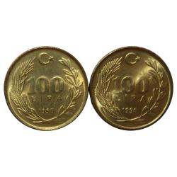 Türkiye Cumhuriyeti 1990 Yılı 100 Lira SIK Seyrek Saç (9307)