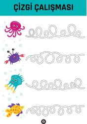 Çizgi-Matematik ve Yön Çalışmaları YAZ-SİL Kitap Seti (3 Kitap)