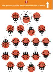 Çizgi-Matematik ve Yön Çalışmaları YAZ-SİL Kitap Seti (3 Kitap)