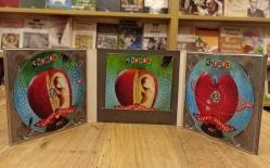 EZGİNİN GÜNLÜĞÜ ÇEYREK CD AÇILIR KAPAK 2 CD